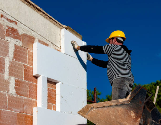 Best Insulation Maintenance and Repair in Earlysville, VA