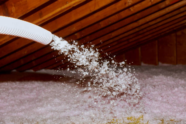 Best Insulation Installation Services in Earlysville, VA