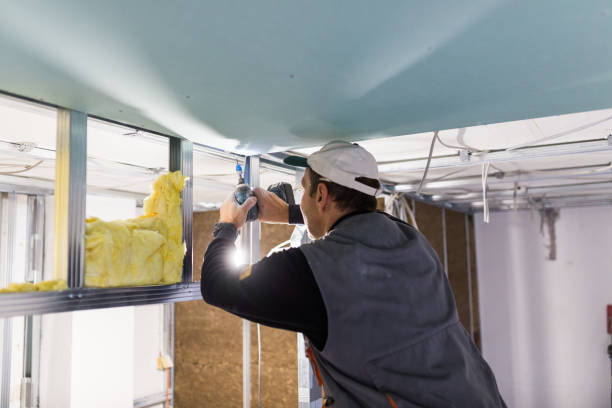 Best Types of Insulation in Earlysville, VA